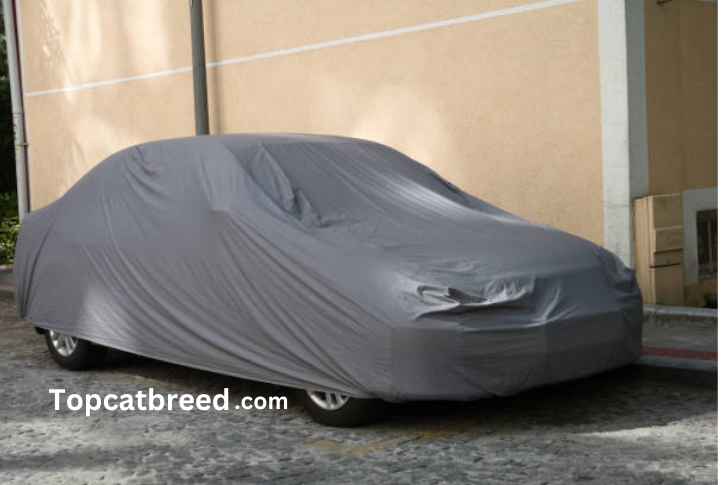 
"Car cover for protection: Shield your vehicle from elements and scratches. Invest in a reliable car cover for optimal care and longevity."

