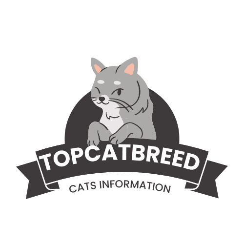 Topcatbreed